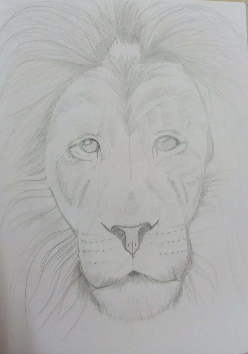 Lion, Painting by  Artist Mayank Rathi