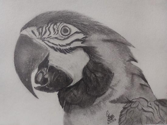 Parrot, painting by Gayatri Kannan