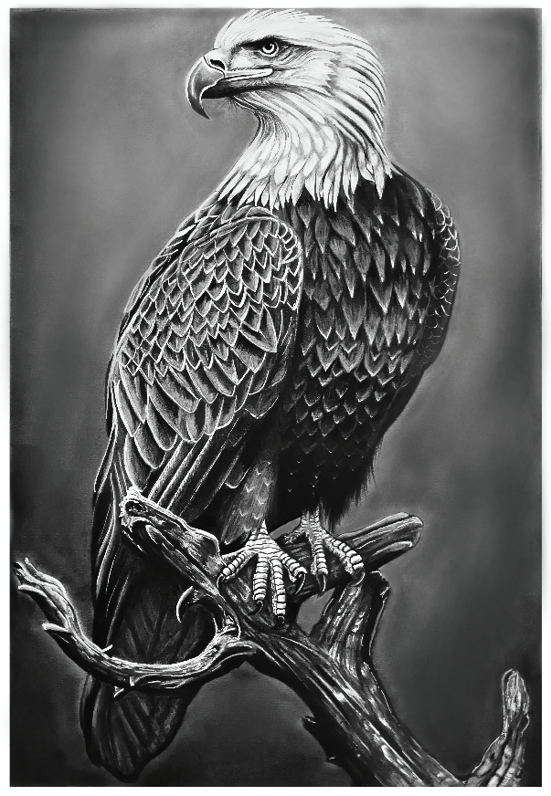 Painting  by Venkatramanan R - Mighty Eagle
