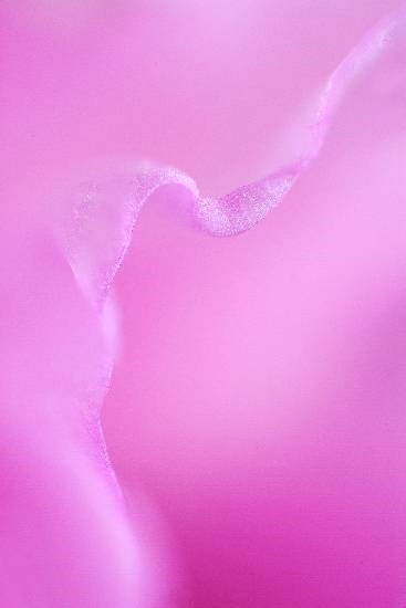 Abstract - 11, photograph by Saify Akolawala