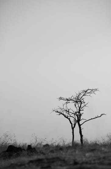 Landscape - 59, photograph by Saify Akolawala