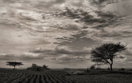 Landscape - 23, photograph by Saify Akolawala