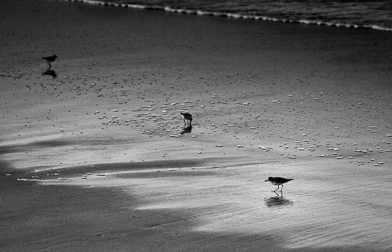 Landscape - 19, photograph by Saify Akolawala