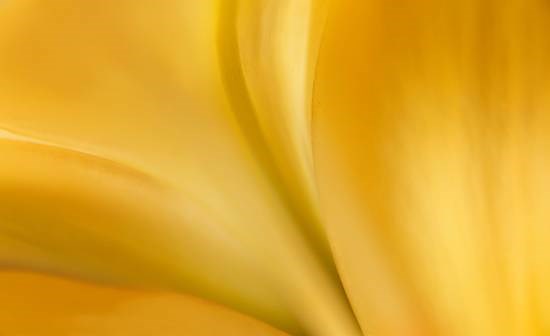 Abstract - 64, photograph by Saify Akolawala