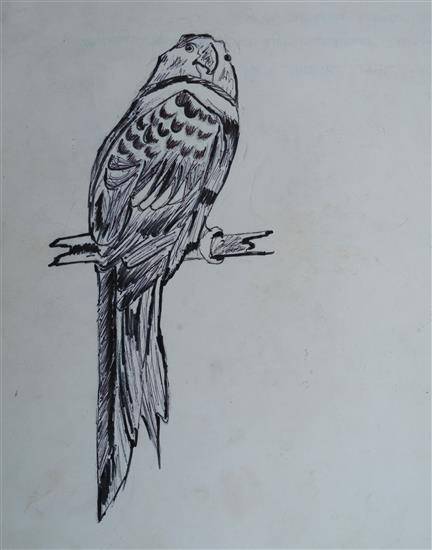 Painting  by Achal Madavi - My favorite bird