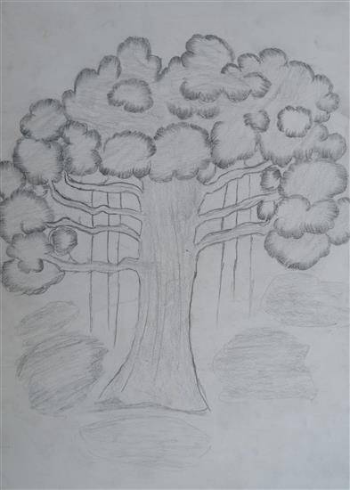 The Banyan Tree Drawing by Seema Kumar | Saatchi Art