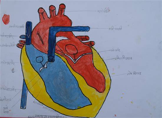 Painting  by Aman Kasture - Anatomy of a Human Heart