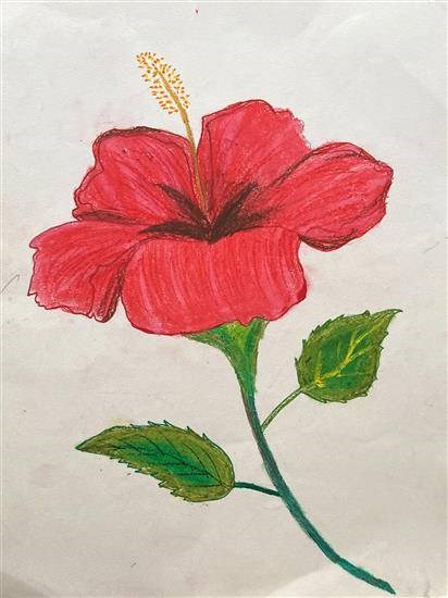 Hibiscus, painting by Sudam Pawara