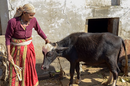 Kumaoni lady at her home, photograph by Milind Sathe