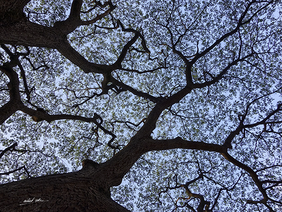 painting by Milind Sathe - Fractals in the Sky
