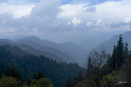 painting by Milind Sathe - Mountains near Jalori Pass