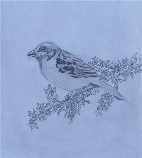 A little Sparrow, painting by Sachin Lohakare