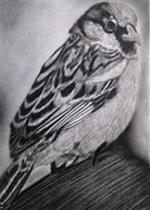 Paintings by Dolly Sunil - Sparrow