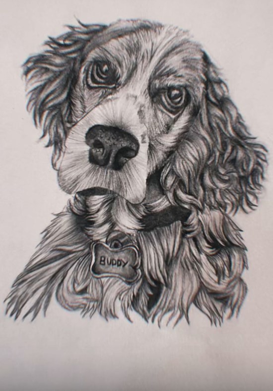 My buddy : my dog, painting by Kashish Desai