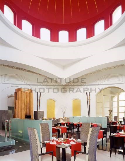 Cilantro, photograph by Ali Rangoonwalla