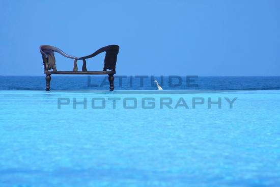 Three Blues Ahumgalla, photograph by Ali Rangoonwalla