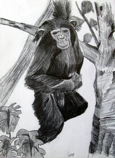 Chimp, painting by Varjavan Dastoor
