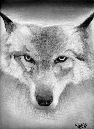 Guipago, painting by Varjavan Dastoor