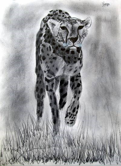 Cheetah, painting by Varjavan Dastoor