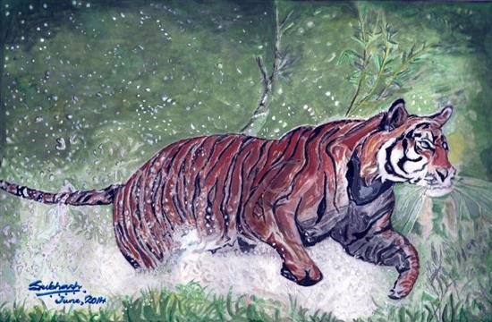 Tiger sprinting from stream, painting by Subhash Bhate