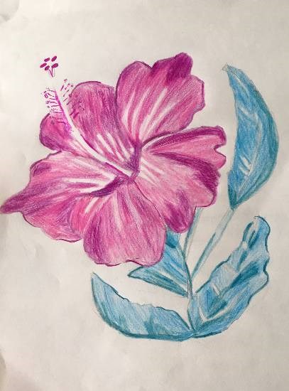 Pink Bloom, painting by Sharanya Das