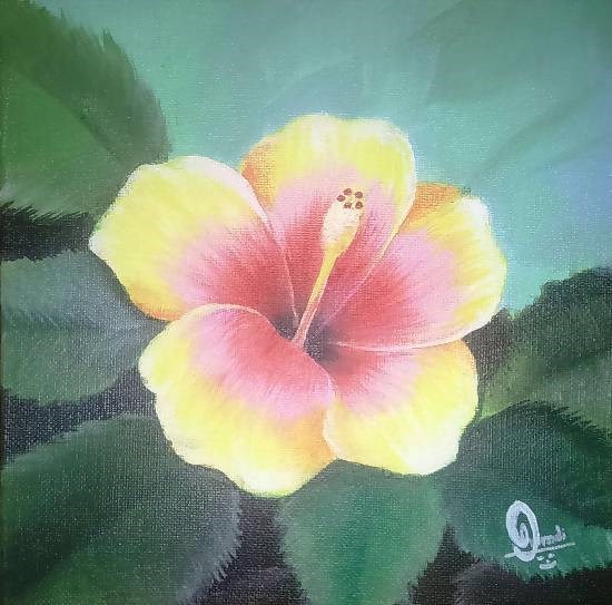 Hibiscus, painting by Hamdi Imran