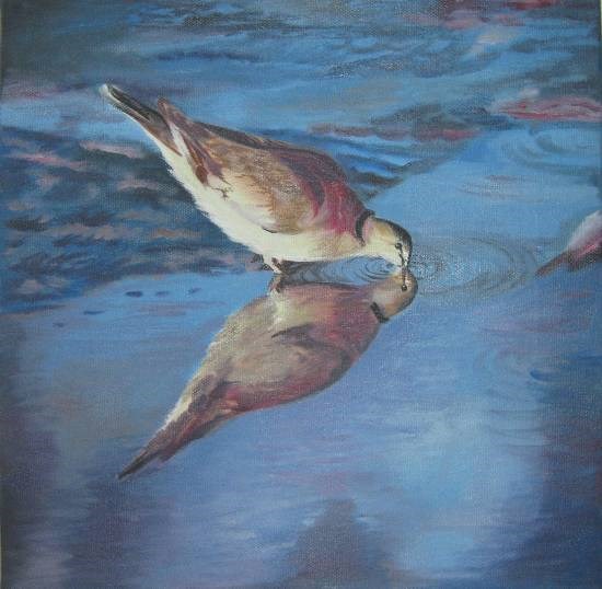 Dove, painting by Poonam Juvale