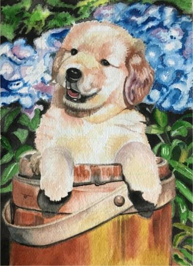 Dog in Basket, painting by Poonam Juvale