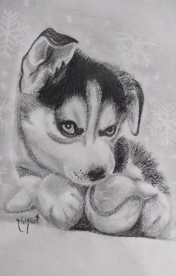 Painting  by Daljeet Kaur - Dog with a ball
