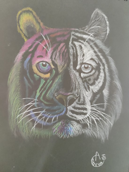 Double faced Tiger, painting by Ananya Satish Pisharody
