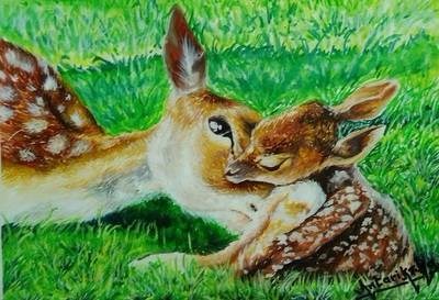 Deer, painting by Antariksha Sethiya