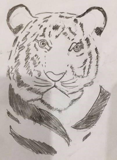 Tiger, painting by Anushka Swapnil Parulekar