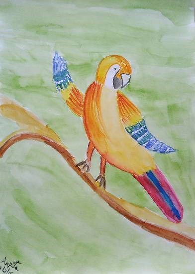 Jolly Macaw, painting by Arpita Bhat