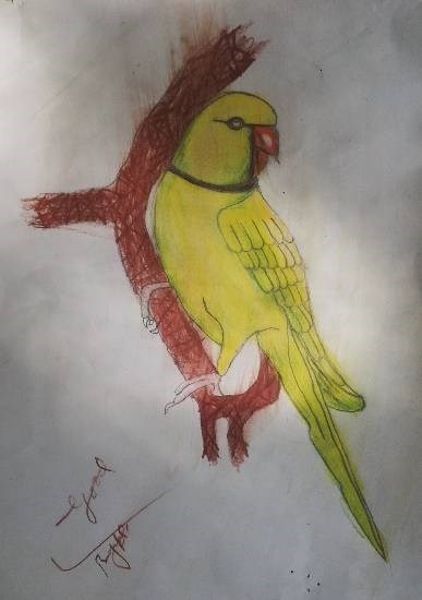 Parrot, painting by Arnav Alok