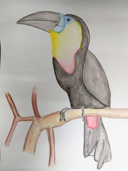 Woodpecker, painting by Parinaz Hoshedar Davar