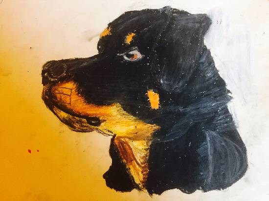 Dog, painting by Suhani Bhattacharyya
