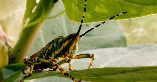 Untitled - 8, painting by Vedant Vivek Khanvilkar