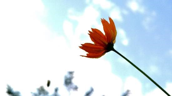 Untitled - 4, painting by Vedant Vivek Khanvilkar