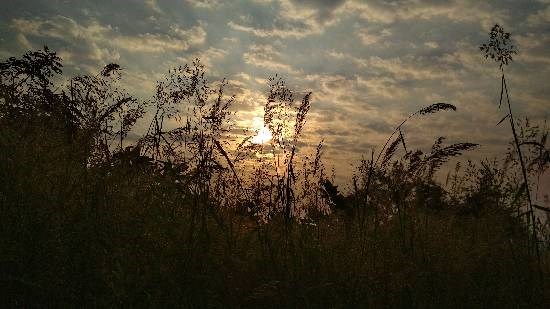 Untitled - 1, painting by Vedant Vivek Khanvilkar