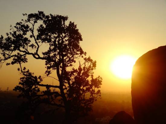 Photograph by Janelle Jane Vedamony - Sunset - 1