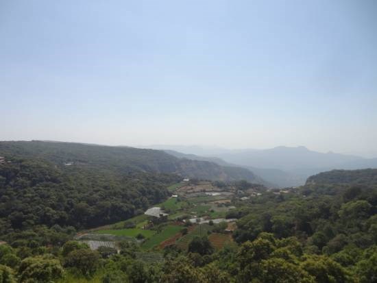 Landscape, painting by Janelle Jane Vedamony