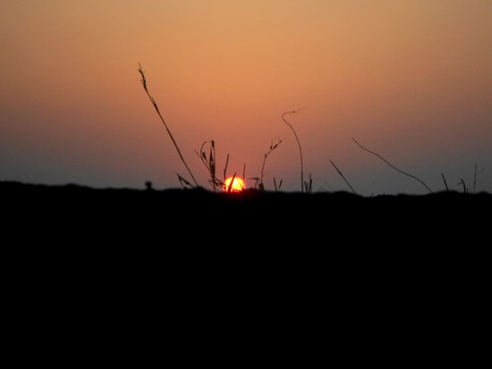 Perspective, painting by Sharvari Pradeep Kulkarni