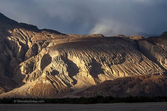 Lion's face, Hunder, photograph by Hitendra Sinkar