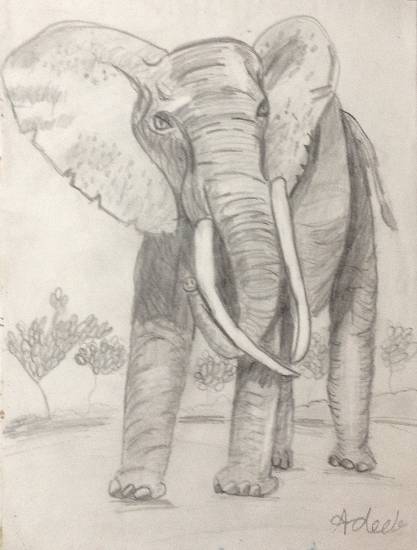 Painting  by Adeeb Singh - The Elephant
