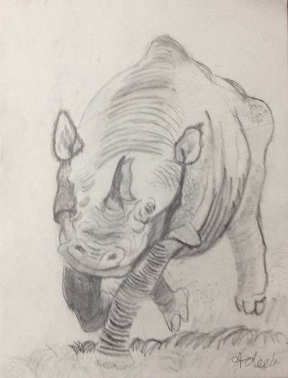 Painting  by Adeeb Singh - The Rhino