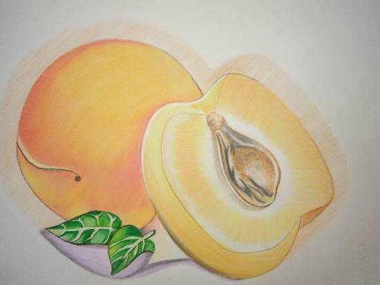 One & A Half Apricot, painting by Manas Chawla
