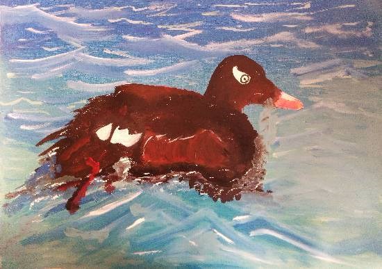 Duck in Water, painting by Manas Chawla