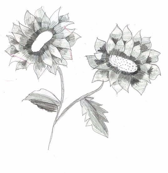 Sunflower, painting by Sujata Gandhe