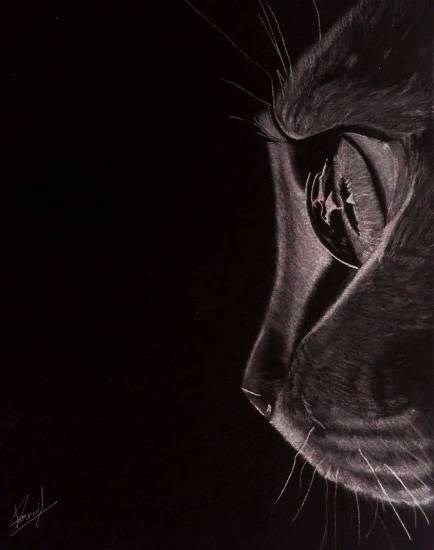 The cat, painting by Pranjal Singh
