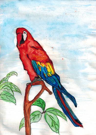 Painting  by Arshad Atique Sarang - Bird